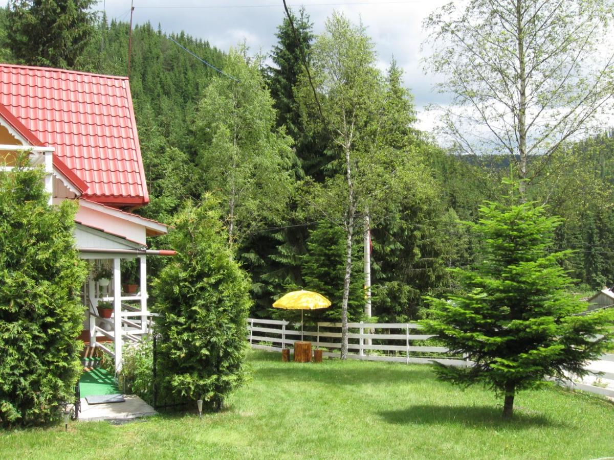 Podina Guest House Poiana Horea Ngoại thất bức ảnh