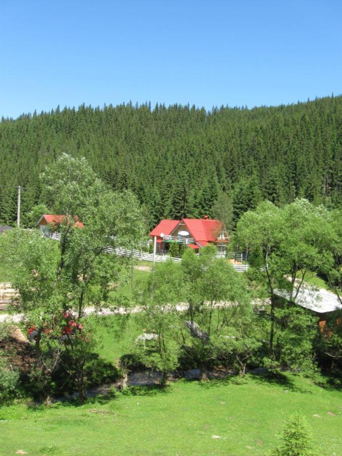 Podina Guest House Poiana Horea Ngoại thất bức ảnh