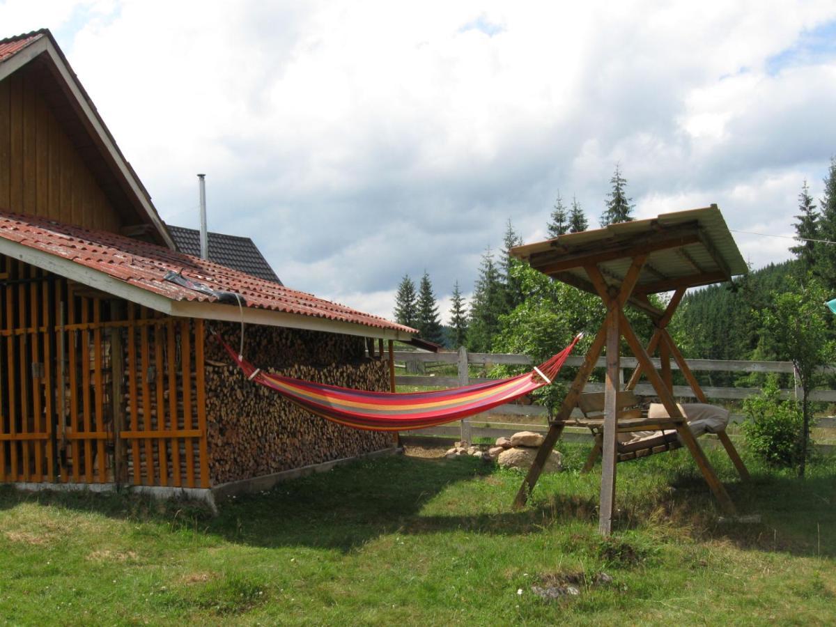 Podina Guest House Poiana Horea Ngoại thất bức ảnh